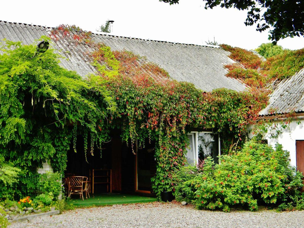 Zakatek Pod Grusza Villa Bedzino Eksteriør bilde